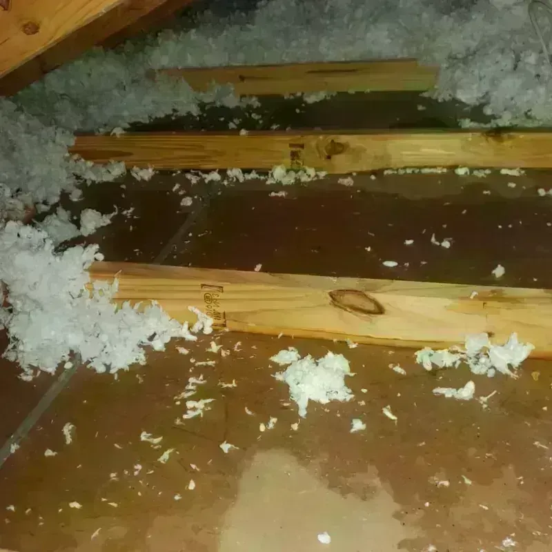 Attic Water Damage in Rolla, MO