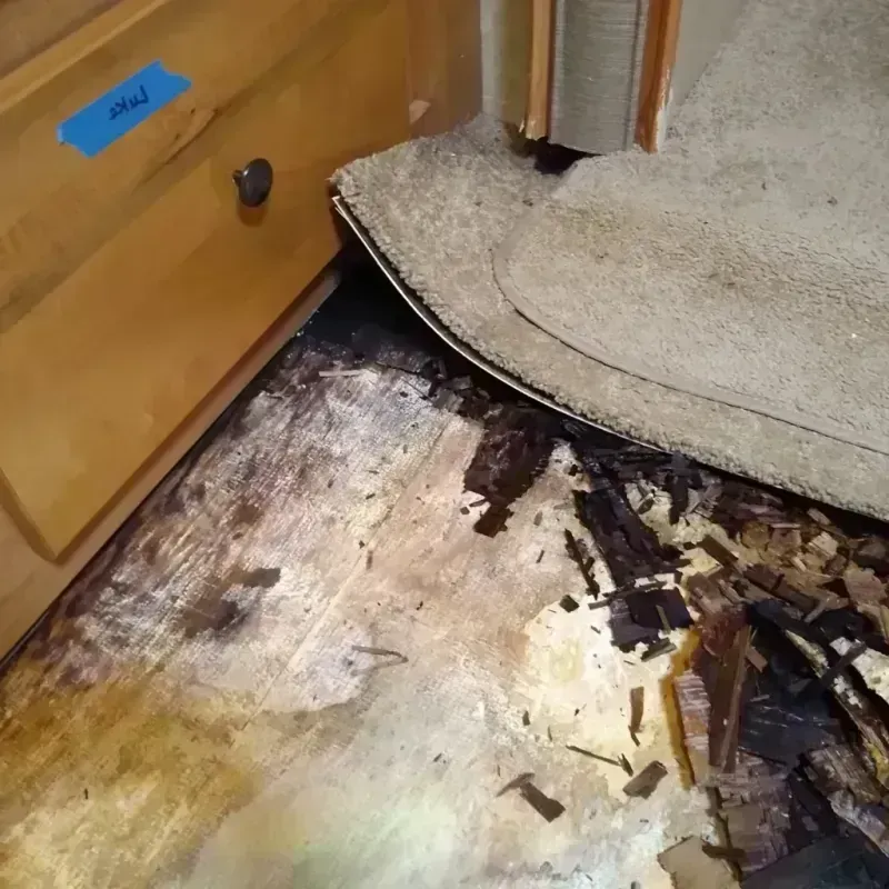 Wood Floor Water Damage in Rolla, MO